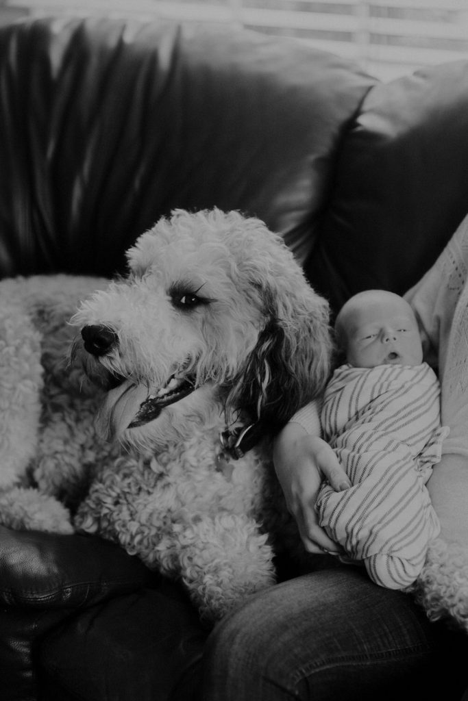 lifestyle in home newborn photography in indianapolis_4133-2
