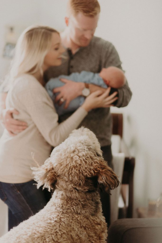 lifestyle in home newborn photography in indianapolis_4283