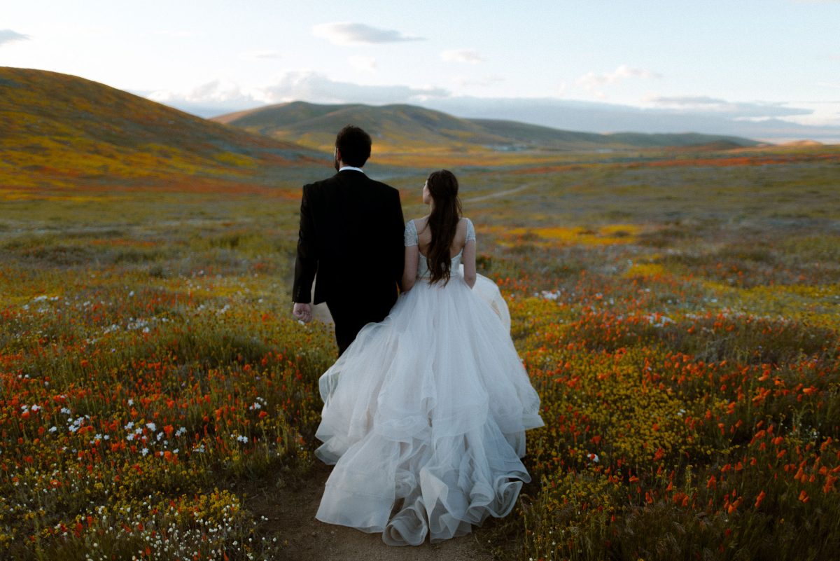 california elopement in the poppies wedding 2026